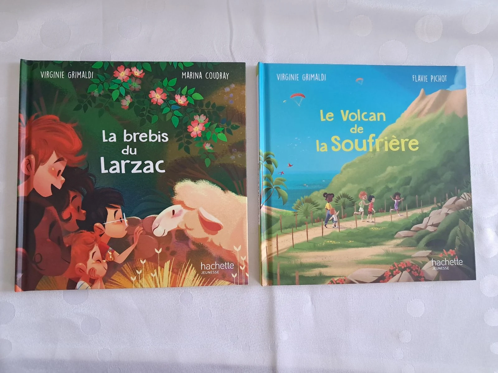 Lots de 2 livres merveilles de France de MC do 